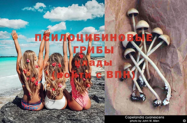 кокс Нязепетровск