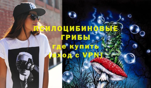 МДПВ Новокубанск