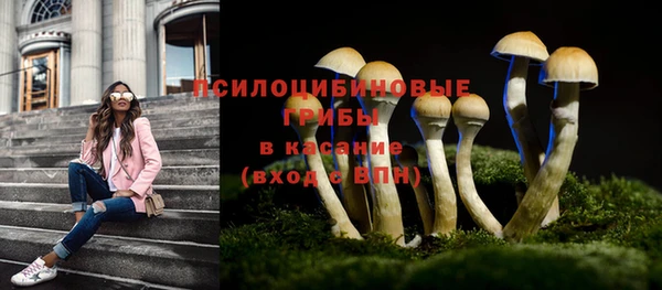 скорость Новодвинск