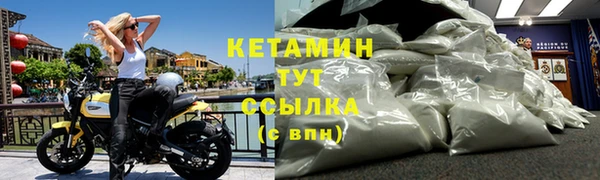 соль ск Новозыбков