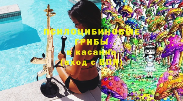 соль ск Новозыбков